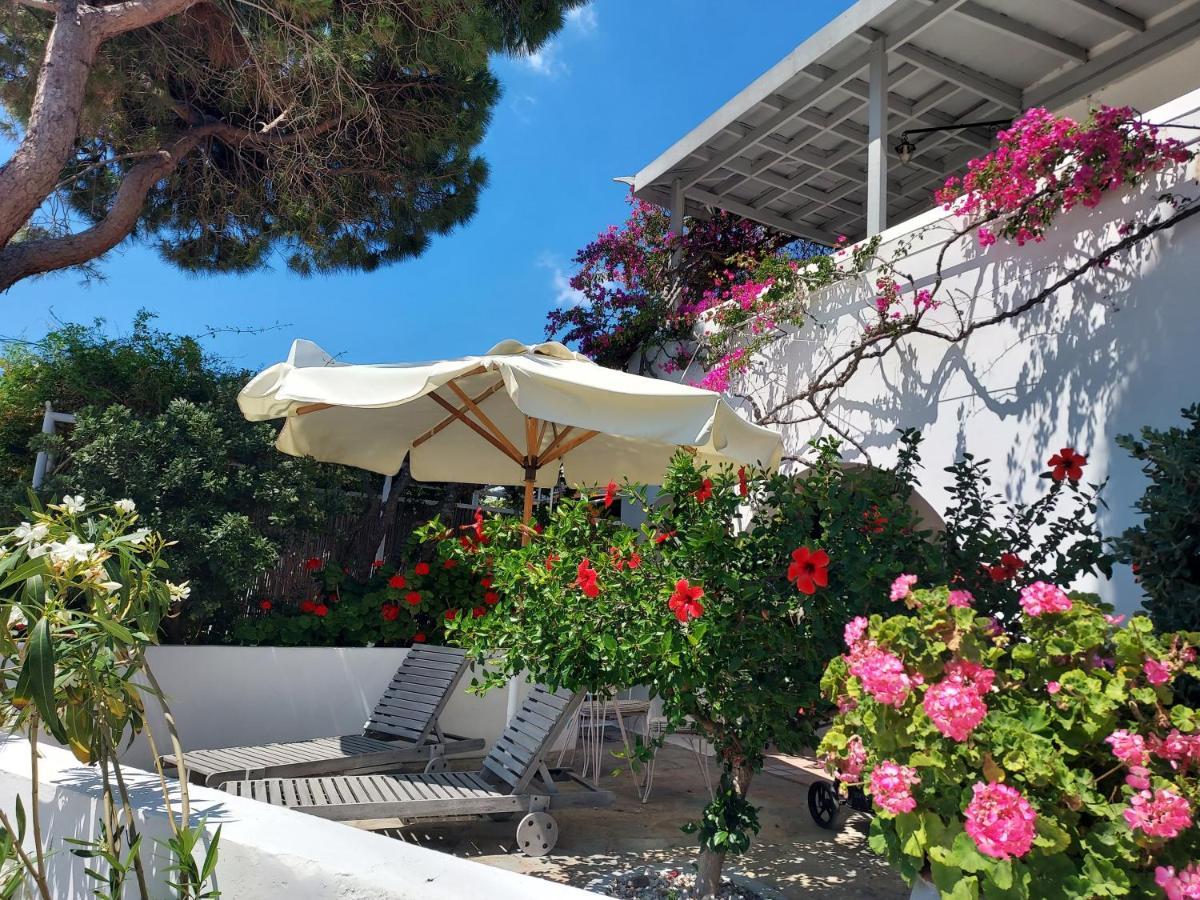 Villa Arni Andros - Βίλα Αρνη Batsíon Dış mekan fotoğraf