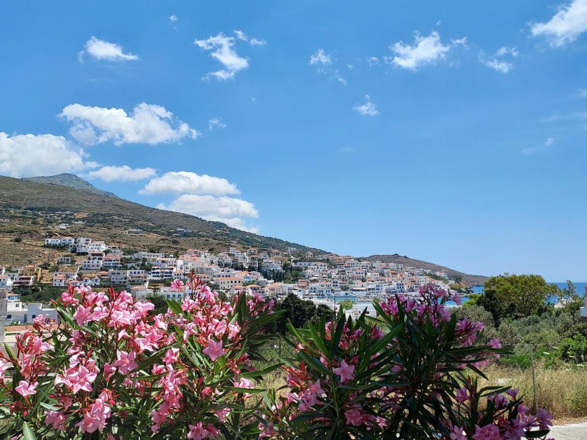 Villa Arni Andros - Βίλα Αρνη Batsíon Dış mekan fotoğraf