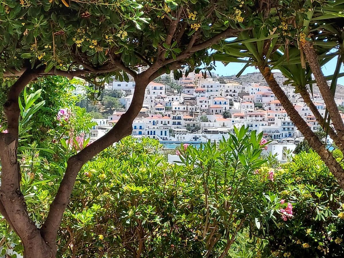 Villa Arni Andros - Βίλα Αρνη Batsíon Dış mekan fotoğraf