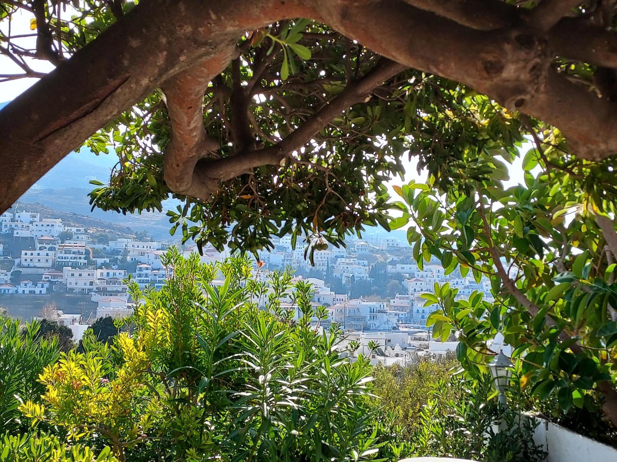 Villa Arni Andros - Βίλα Αρνη Batsíon Oda fotoğraf