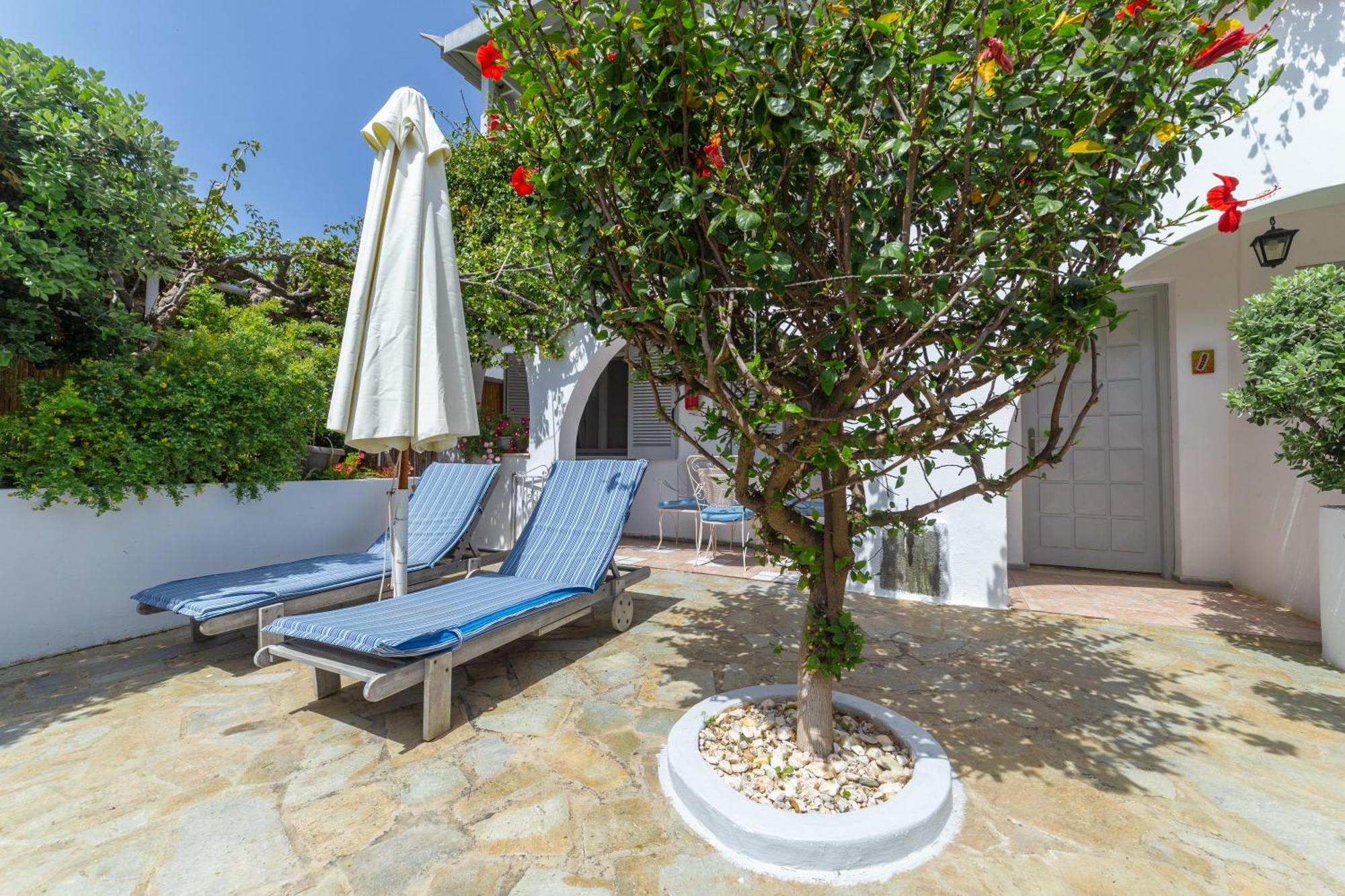 Villa Arni Andros - Βίλα Αρνη Batsíon Dış mekan fotoğraf